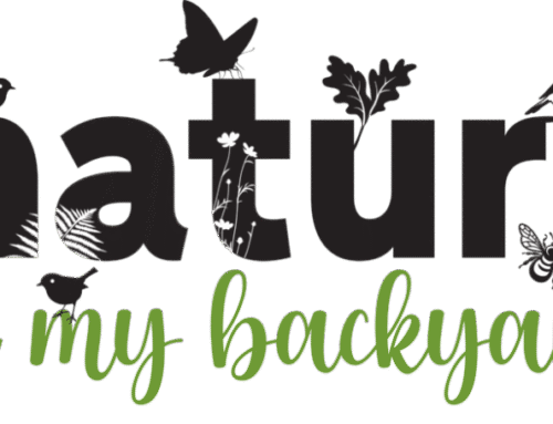 Brown Bagging it in My Backyard –  “Gardening for a Concert”