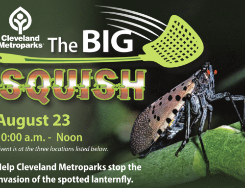 The Big Squish – August 23