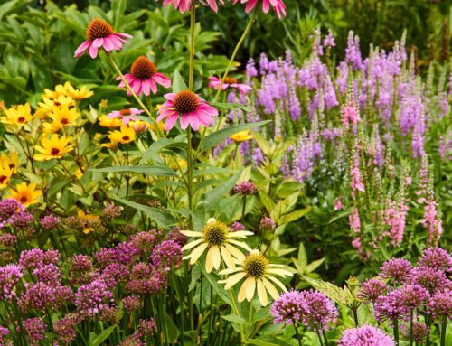 Master Gardener Information Session August 6